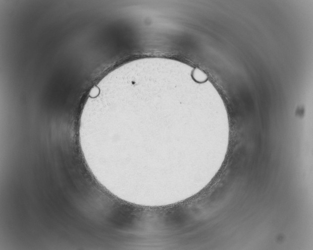 X0000116820305201001151210