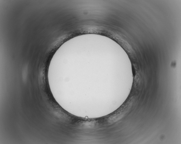 X0000116820306201001151210