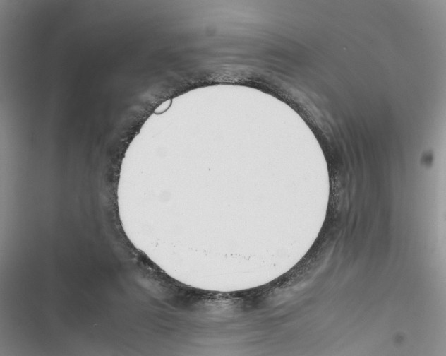 X0000116820307201001151210