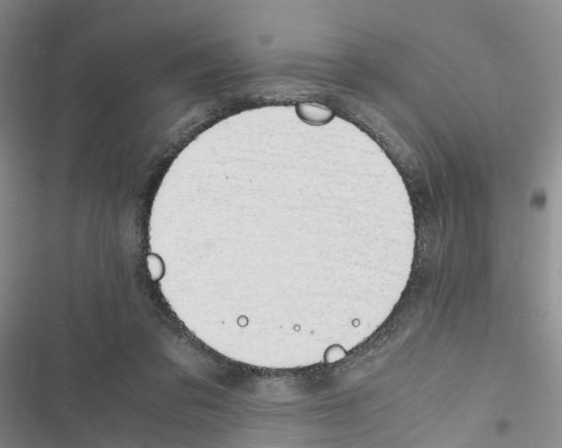 X0000116820309201001151210