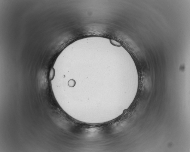 X0000116820312201001151210