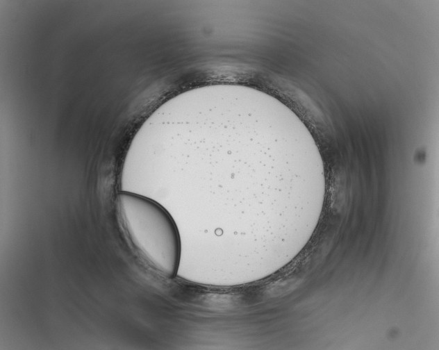 X0000116820314201001151210