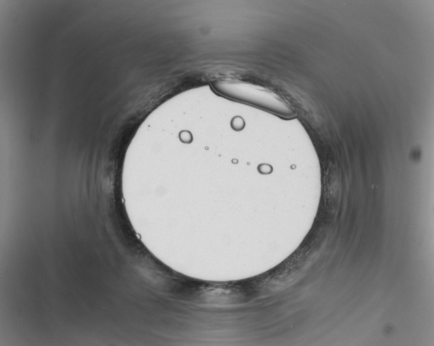 X0000116820315201001151210