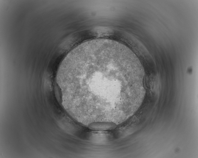 X0000116820316201001151210