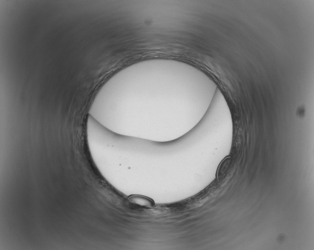 X0000116820317201001151210