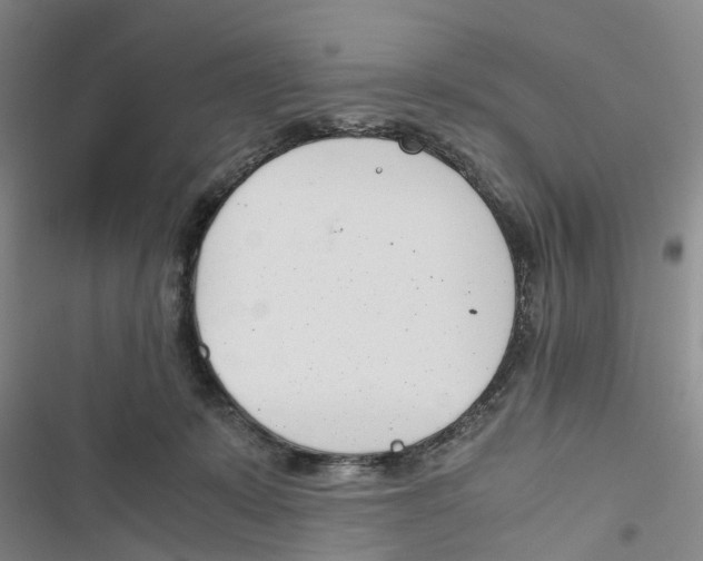 X0000116820319201001151210