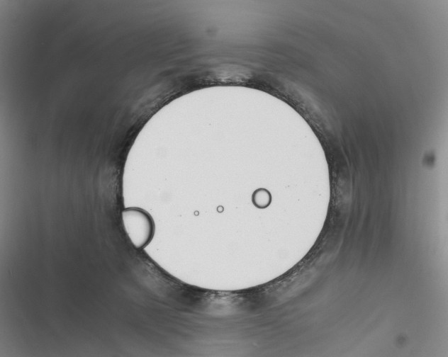 X0000116820321201001151210