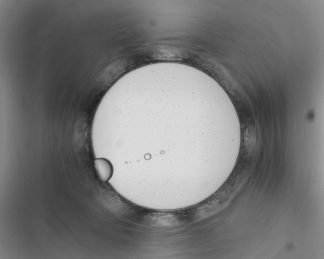 X0000116820322201001151210