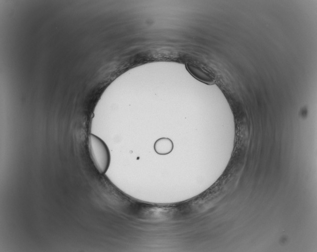 X0000116820323201001151210