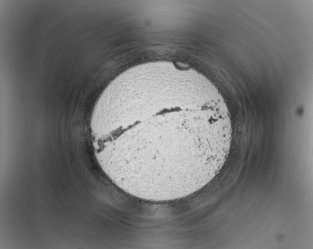 X0000116820324201001151210