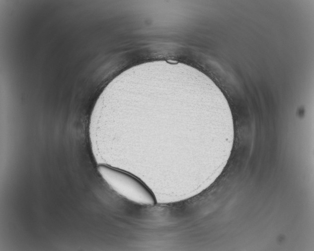 X0000116820325201001151210