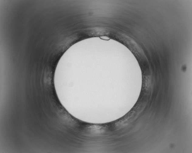 X0000116820326201001151210