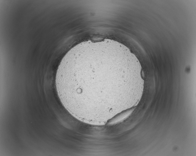 X0000116820328201001151210