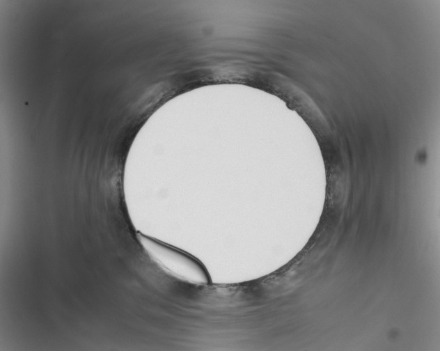 X0000116820329201001151210