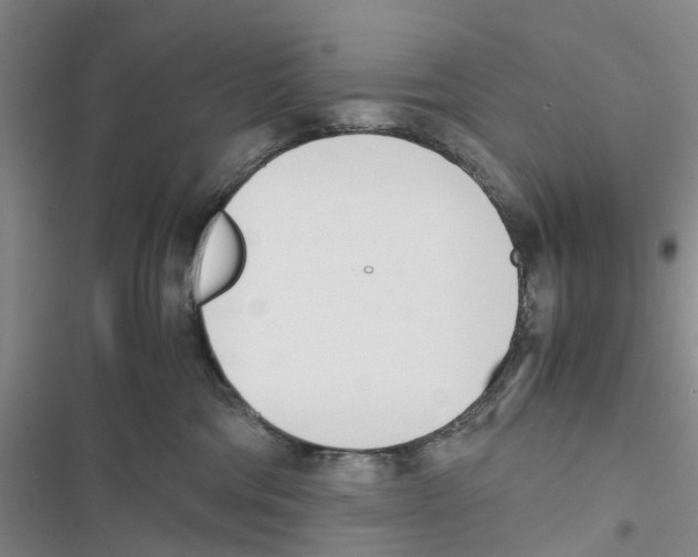 X0000116820330201001151210