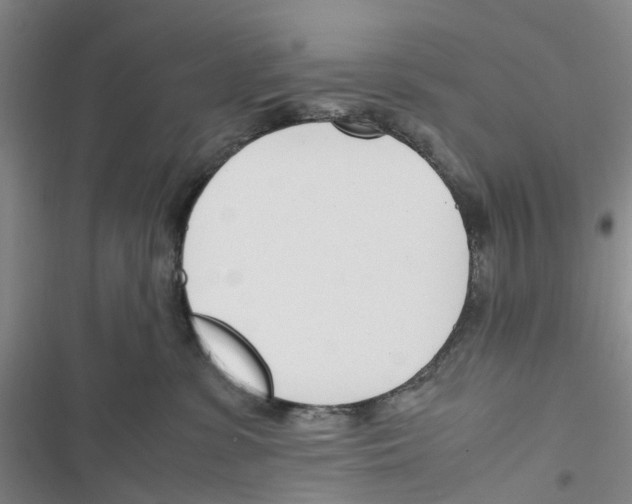 X0000116820331201001151210