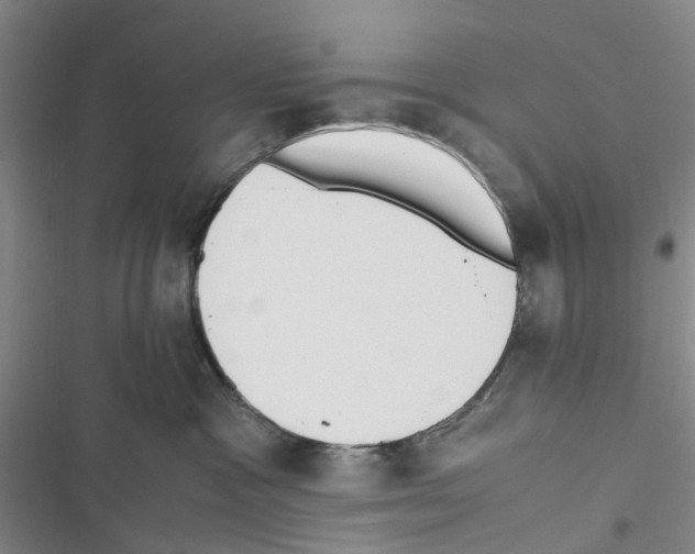 X0000116820333201001151210