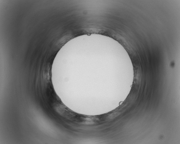 X0000116820334201001151210