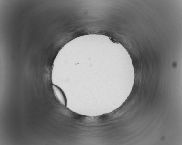 X0000116820335201001151210