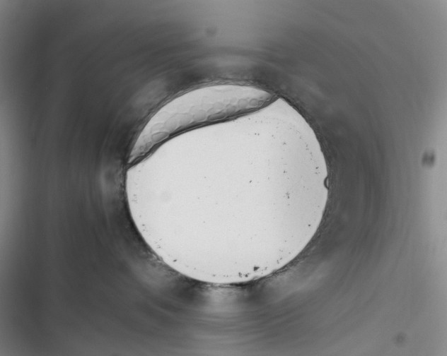 X0000116820336201001151210