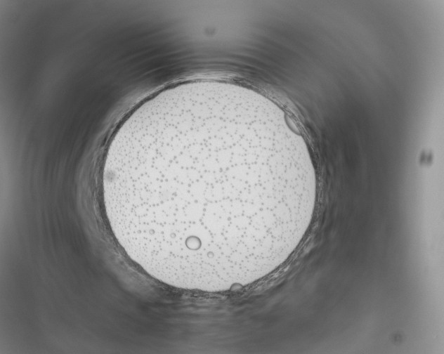 X0000116820337201001151209