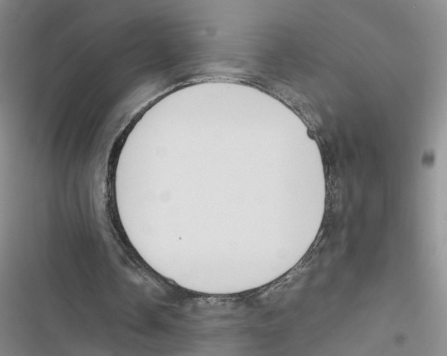 X0000116820338201001151209