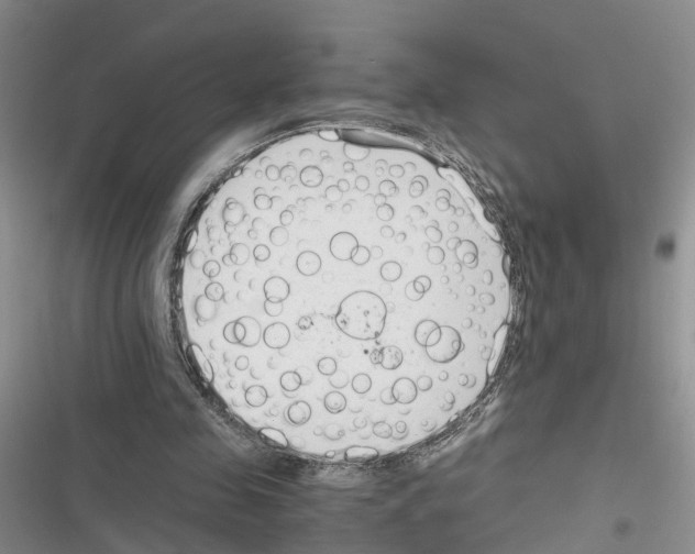 X0000116820341201001151209