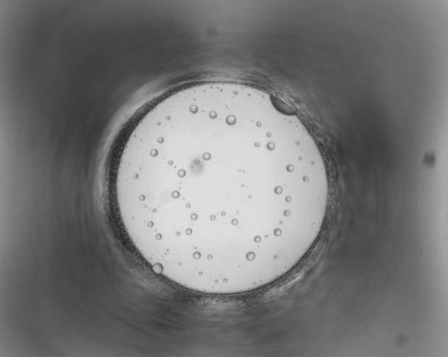 X0000116820343201001151209