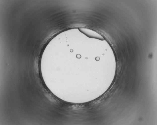 X0000116820345201001151209