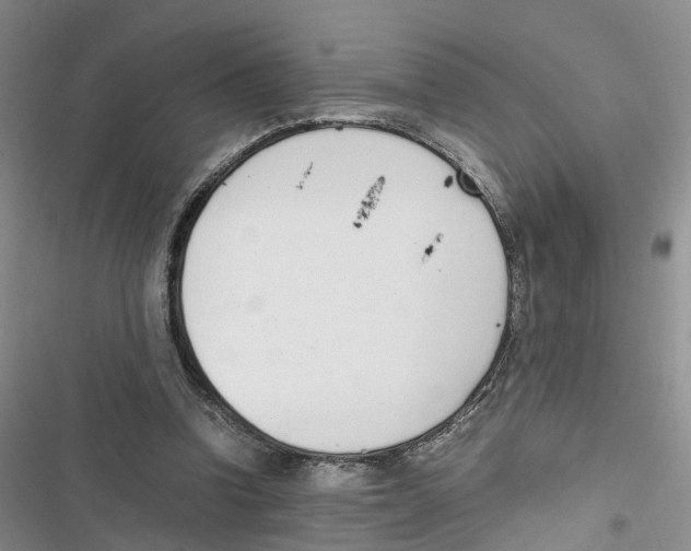 X0000116820346201001151209