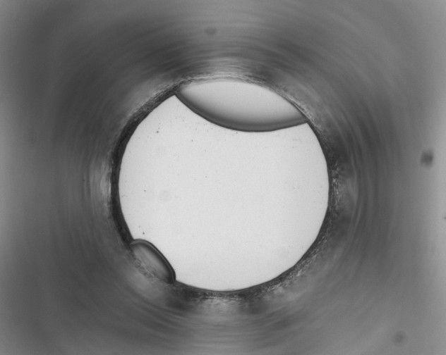 X0000116820350201001151210