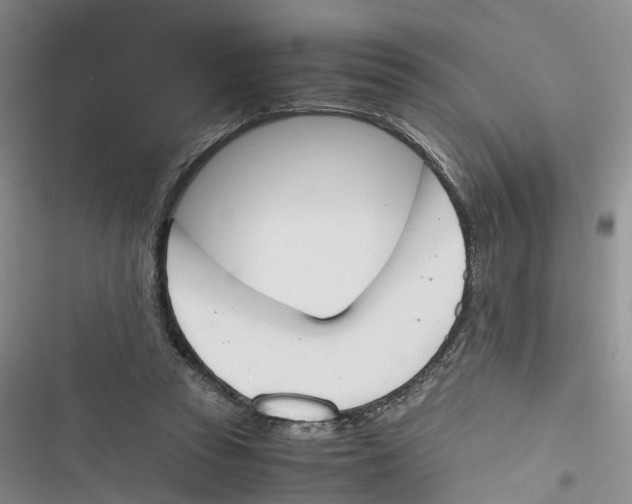 X0000116820353201001151210