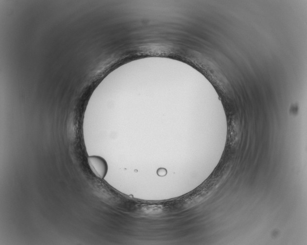 X0000116820355201001151210