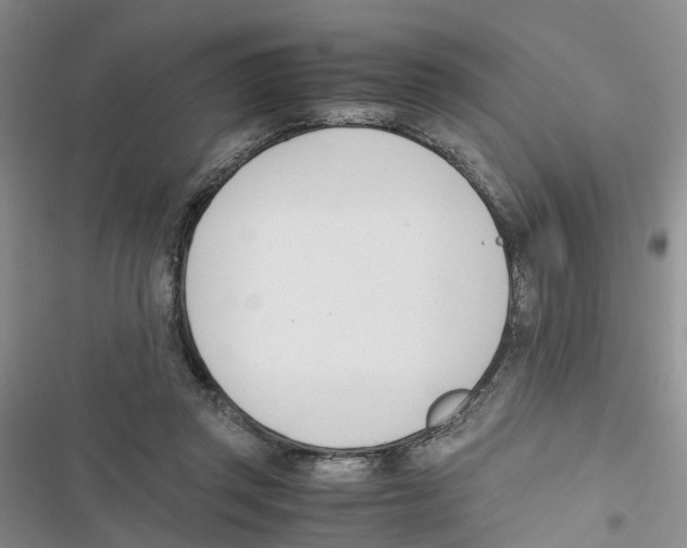 X0000116820357201001151210