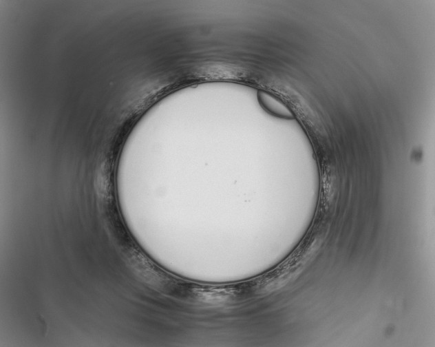 X0000116820359201001151210