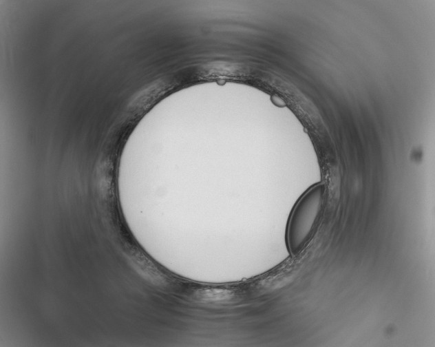 X0000116820361201001151210