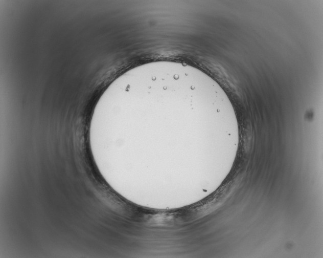 X0000116820366201001151210