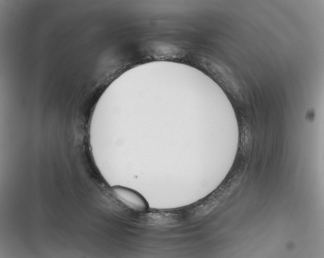 X0000116820367201001151210