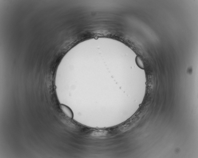 X0000116820369201001151210