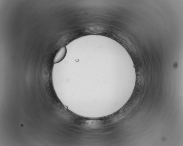 X0000116820371201001151210