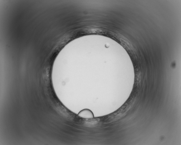 X0000116820373201001151210