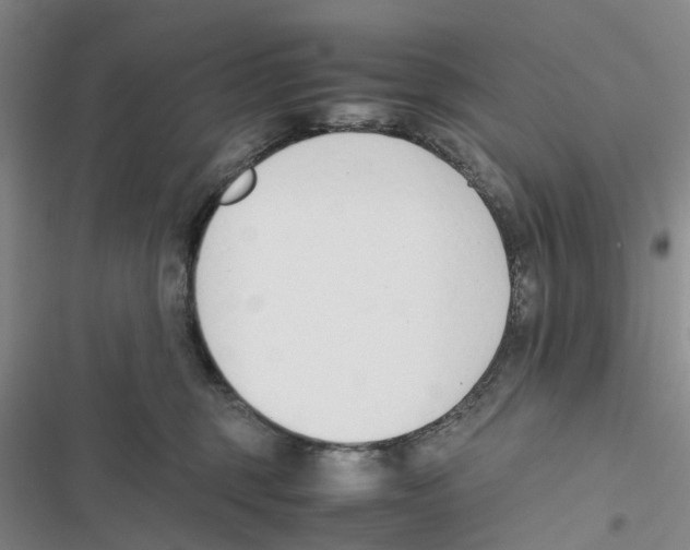 X0000116820375201001151210