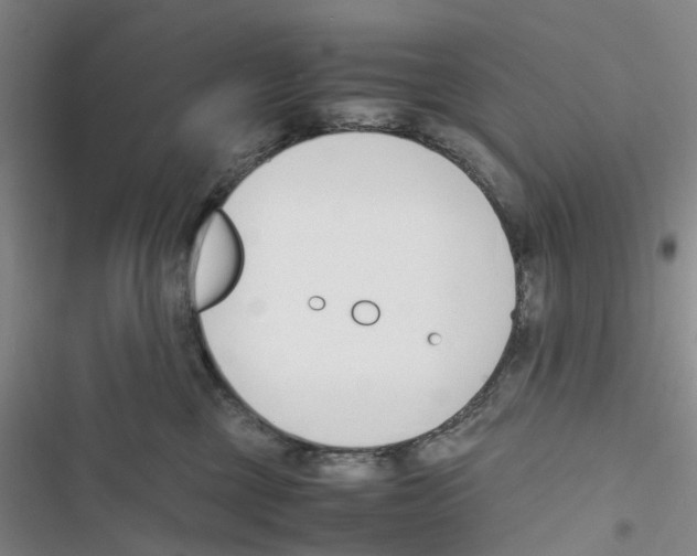 X0000116820377201001151210