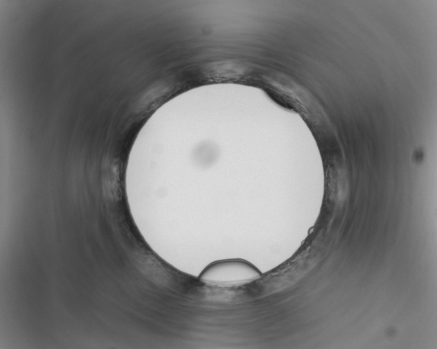 X0000116820378201001151210