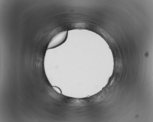 X0000116820379201001151210