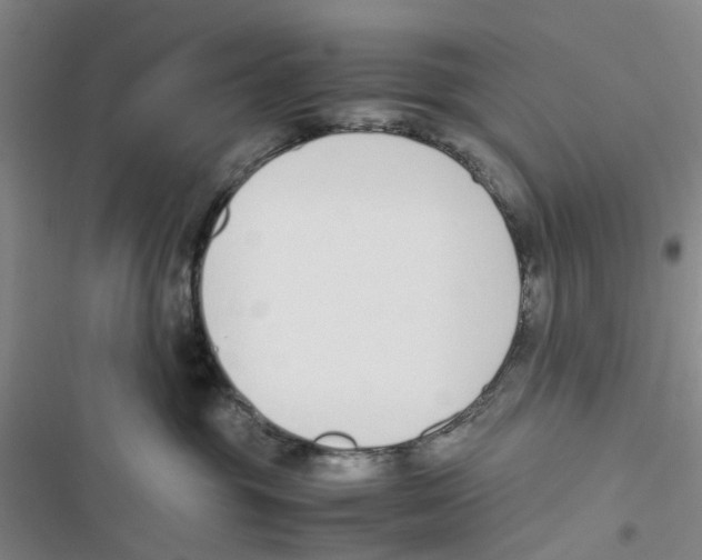 X0000116820381201001151210