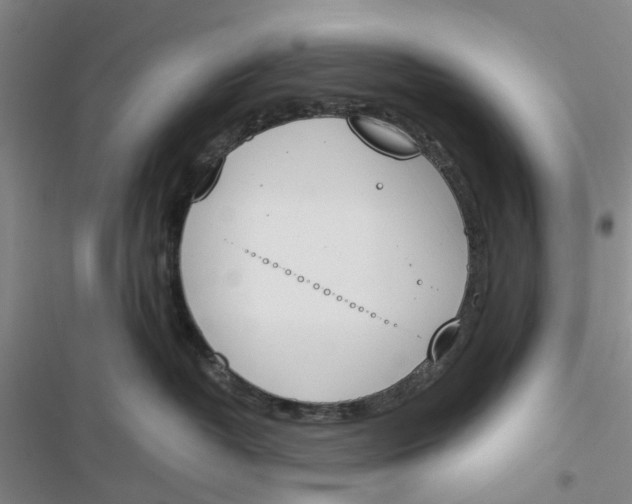 X0000116820382201001151210