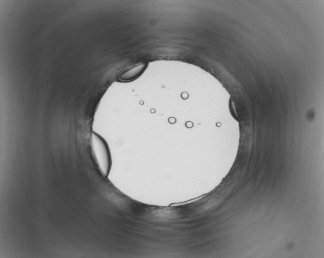 X0000116820383201001151210