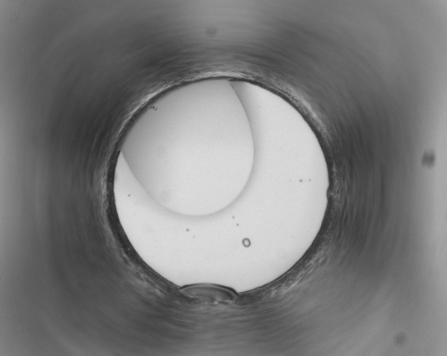 X0000116820386201001151209