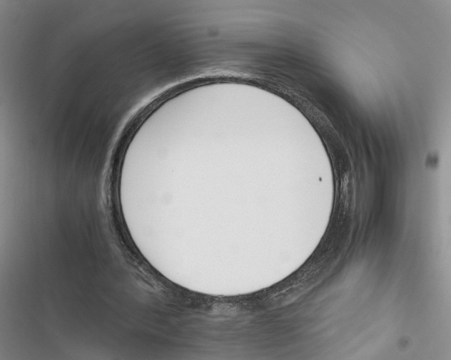 X0000116820388201001151209